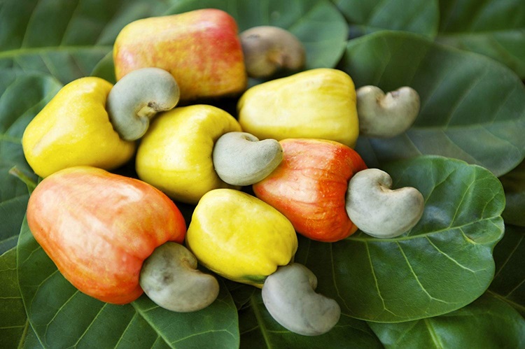 Cashew apples and raw nuts