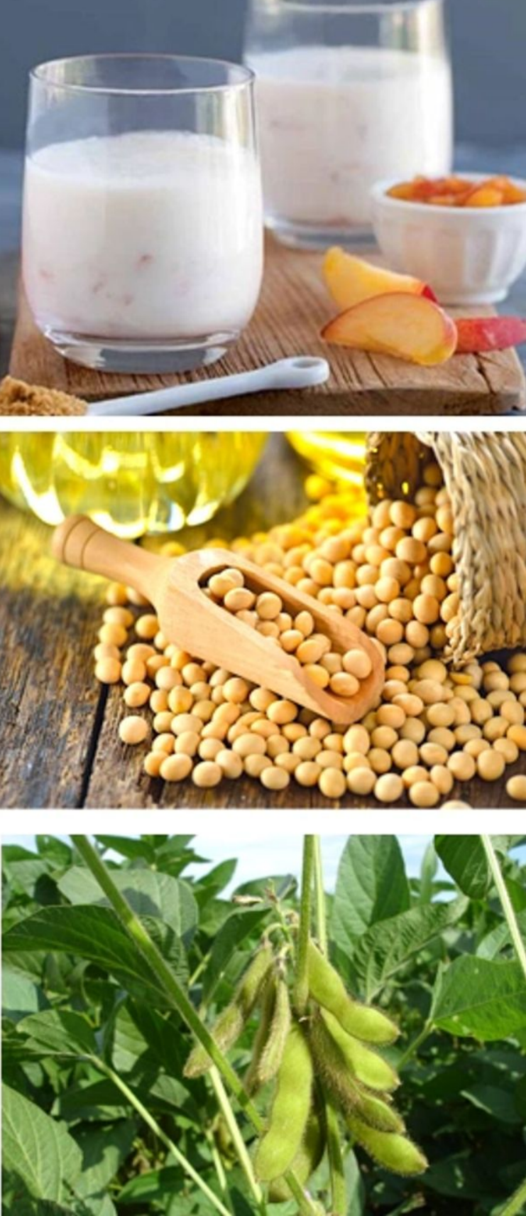 tropicalflavour soybeans.png